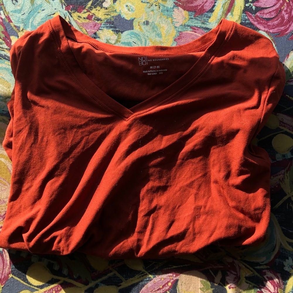 NWOT Dusty orange v-neck top